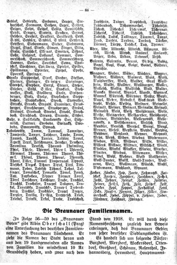 Die Braunauer Familiennamen