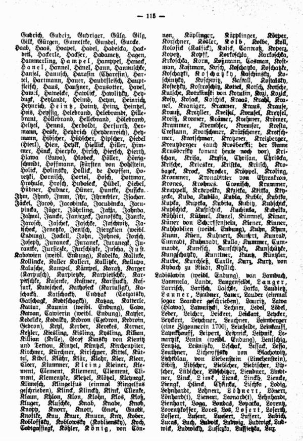 Verzeichnis der in den Groß-Herrlitzer Matriken von 1646 bis 1784 vorkommenden Familiennamen - 2