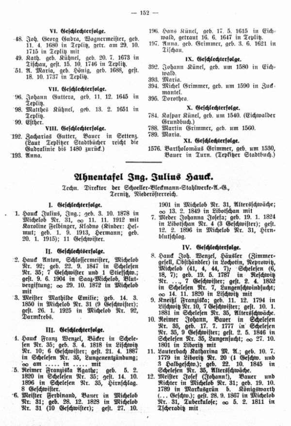 Ahnentafel von Ing. Julius Hauck, geb. in Michelob 3.10.1878