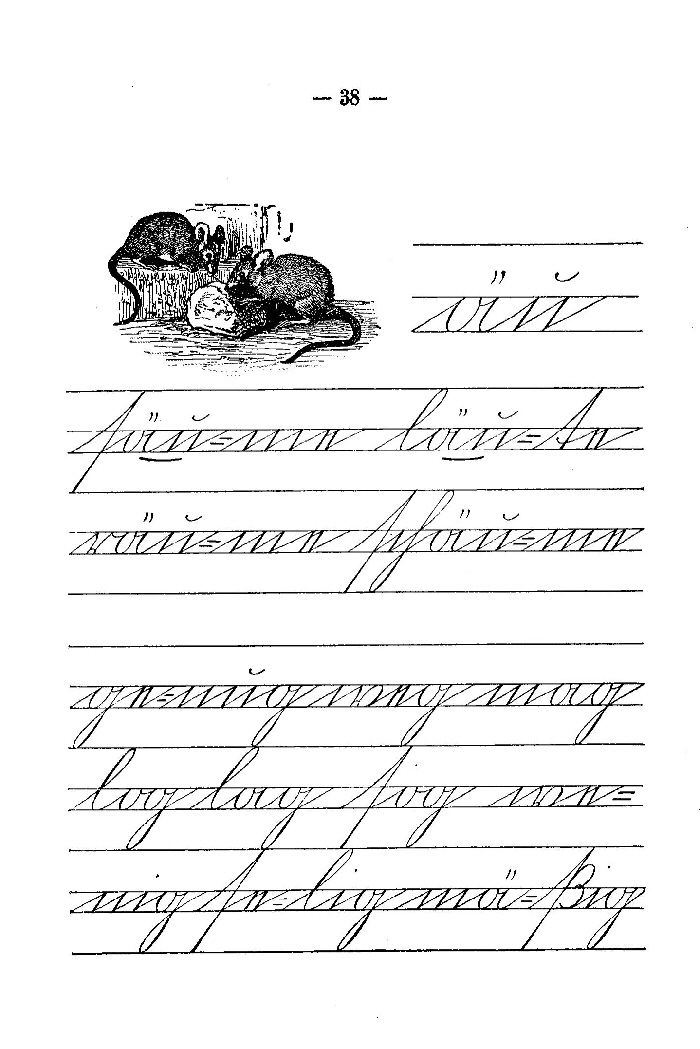Deutsche Fibel -äu / g (Schreibschrift)