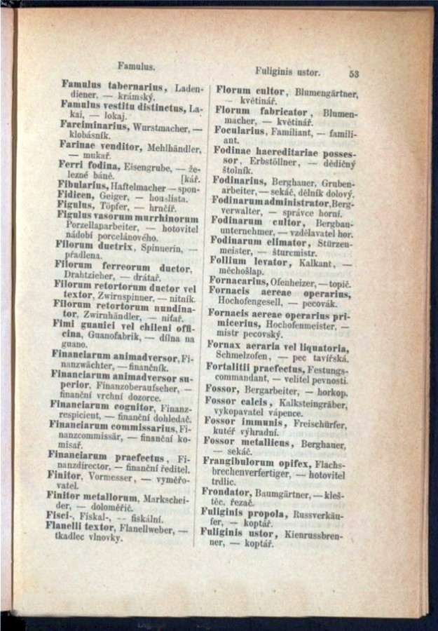 Teil 3  Latein - Deutsch - Böhmisch / von 'Famulus tabernarius' bis 'Fuliginis ustor'