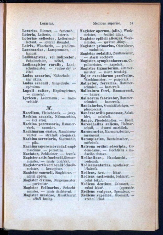 Teil 3  Latein - Deutsch - Böhmisch / von 'Lorarius' bis 'Medicus superior'