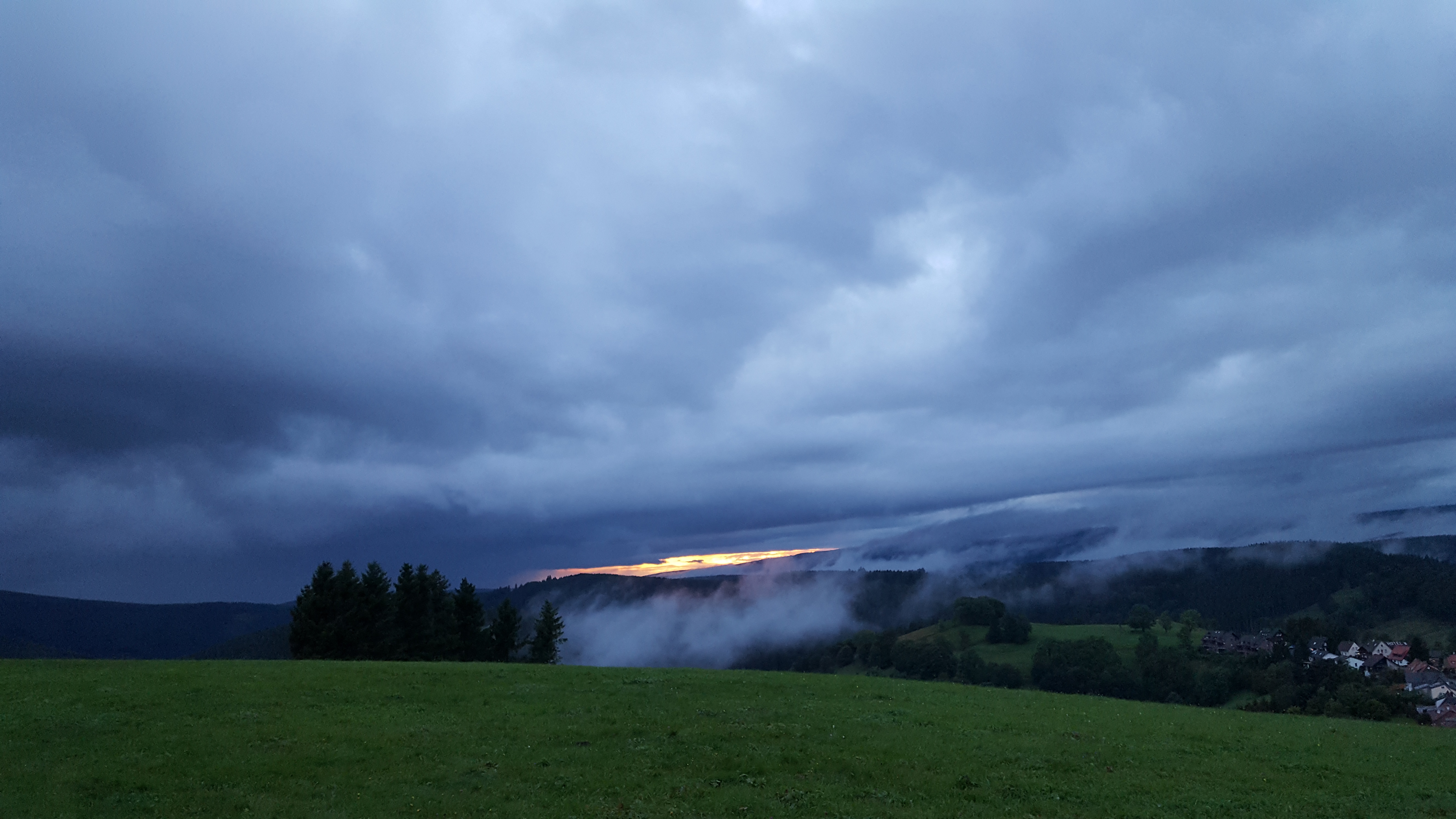 Foto Katharina Buschau